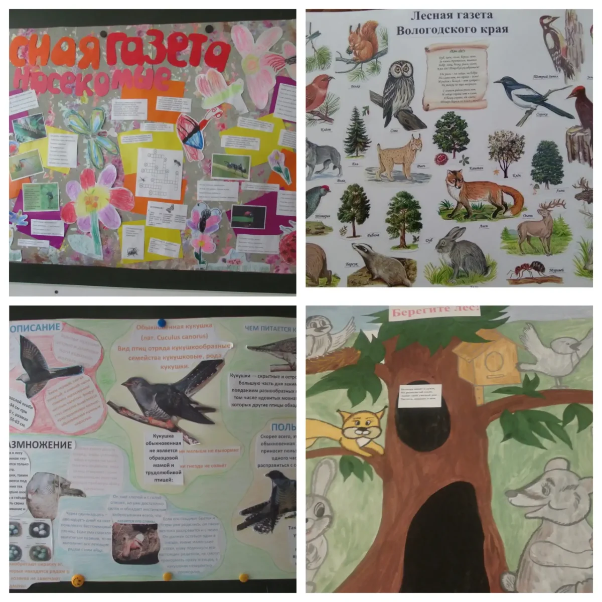 Проект Лесная газета
