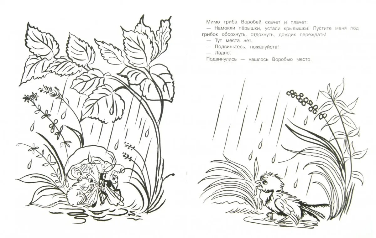 Живая природа раскраска