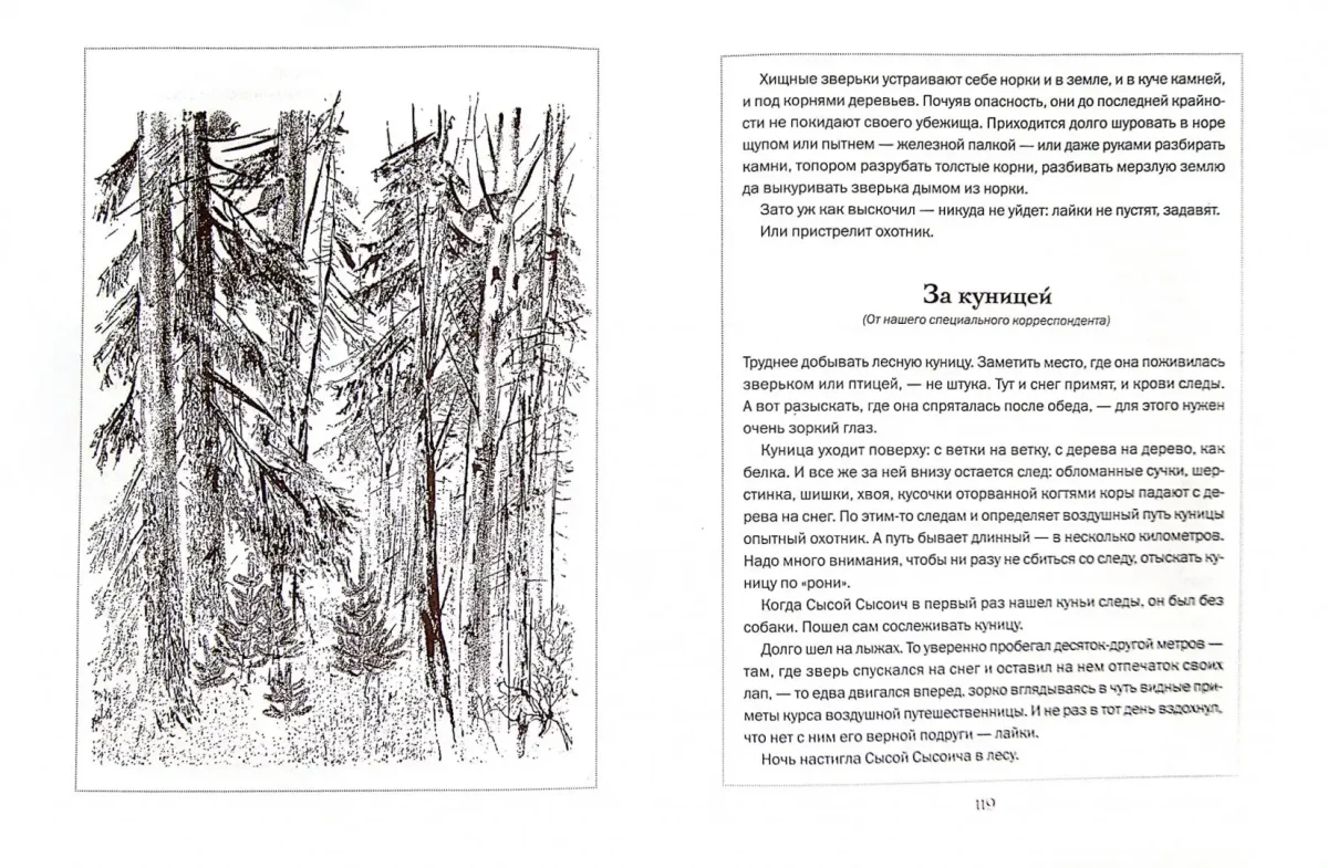 Иллюстрация к рассказу Лесная газета