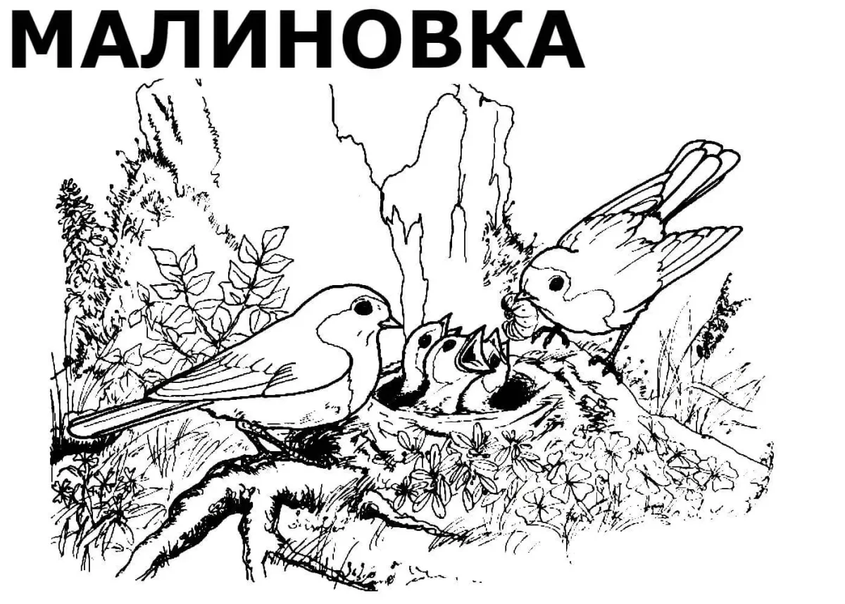 Экологический плат для раскрашивания