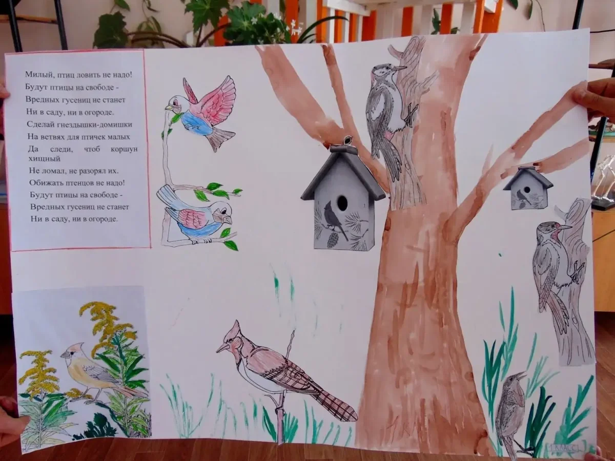 Правил поведения в лесу раскраска