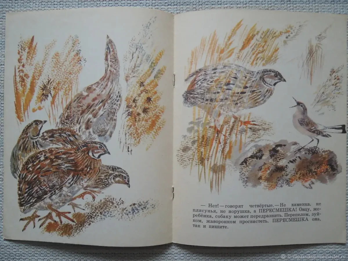 Каменка плясунья Николай Сладков