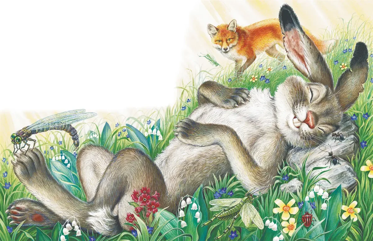 Николай Сладков иллюстрации