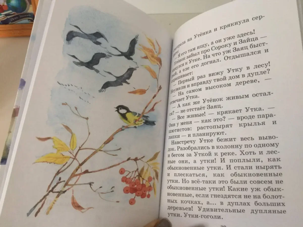 Сладков Николай Иванович птица - чечевица