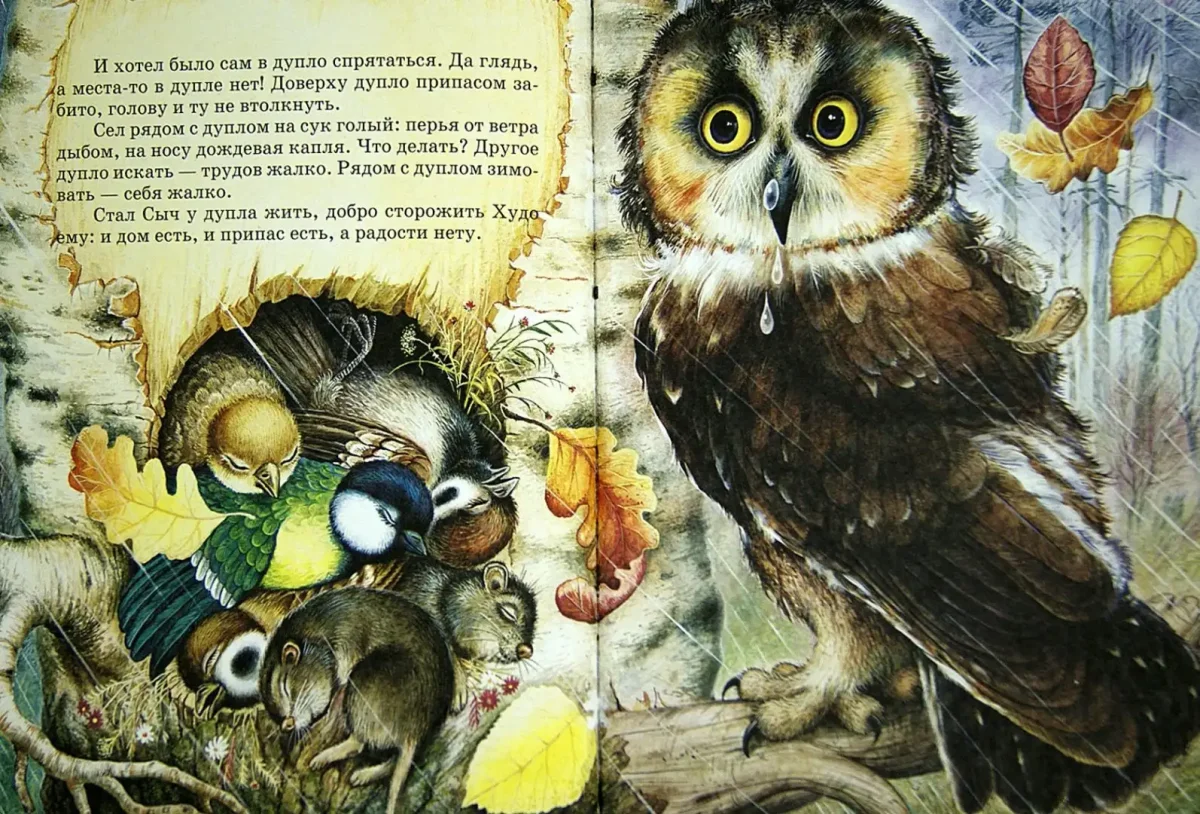 Лесные сказки Николай Сладков книга иллюстрации