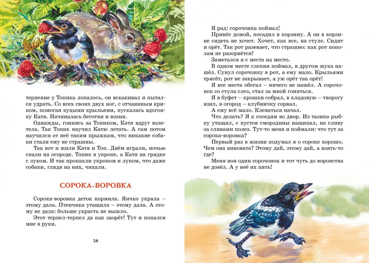 Николай Сладков Лесные тайнички