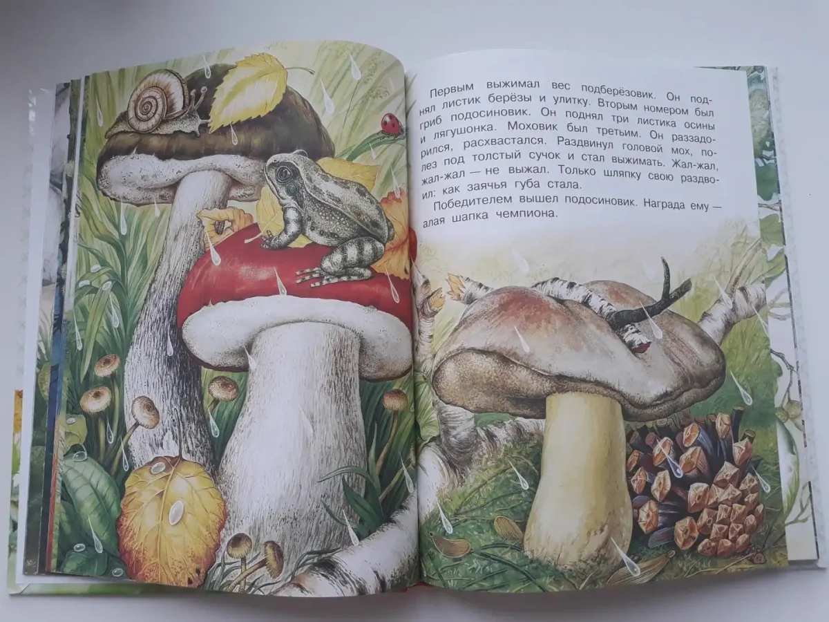 Сладков сказки Лесной опушки