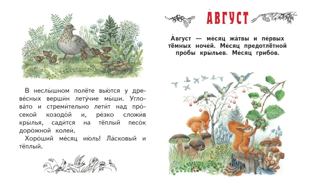"Лесной календарь" Сладков иллюстрации