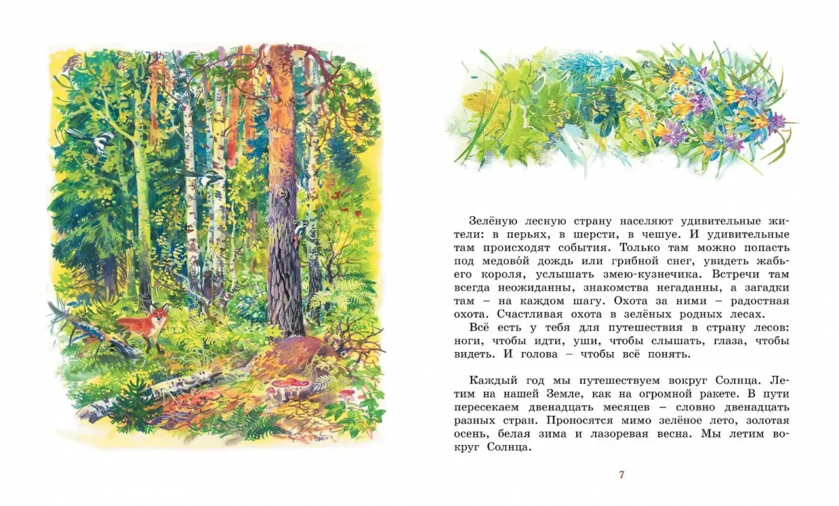 Сладков Лесные тайнички книга