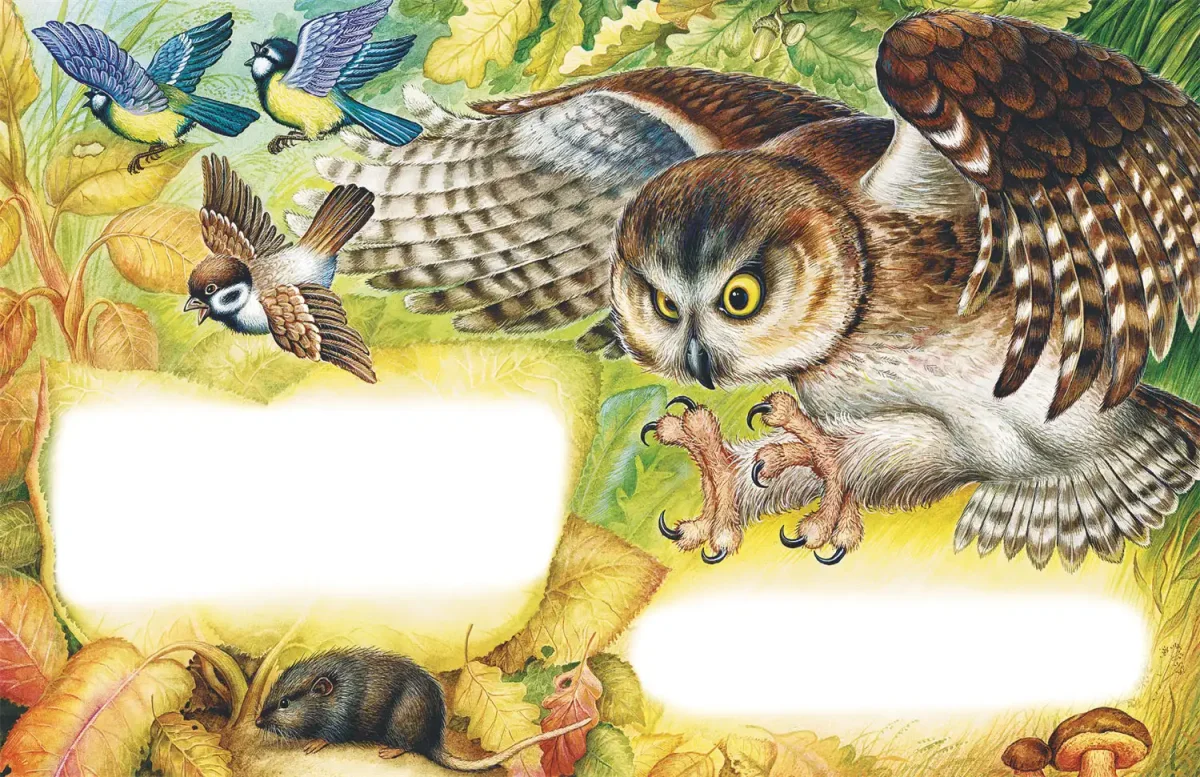 Николай Сладков осень