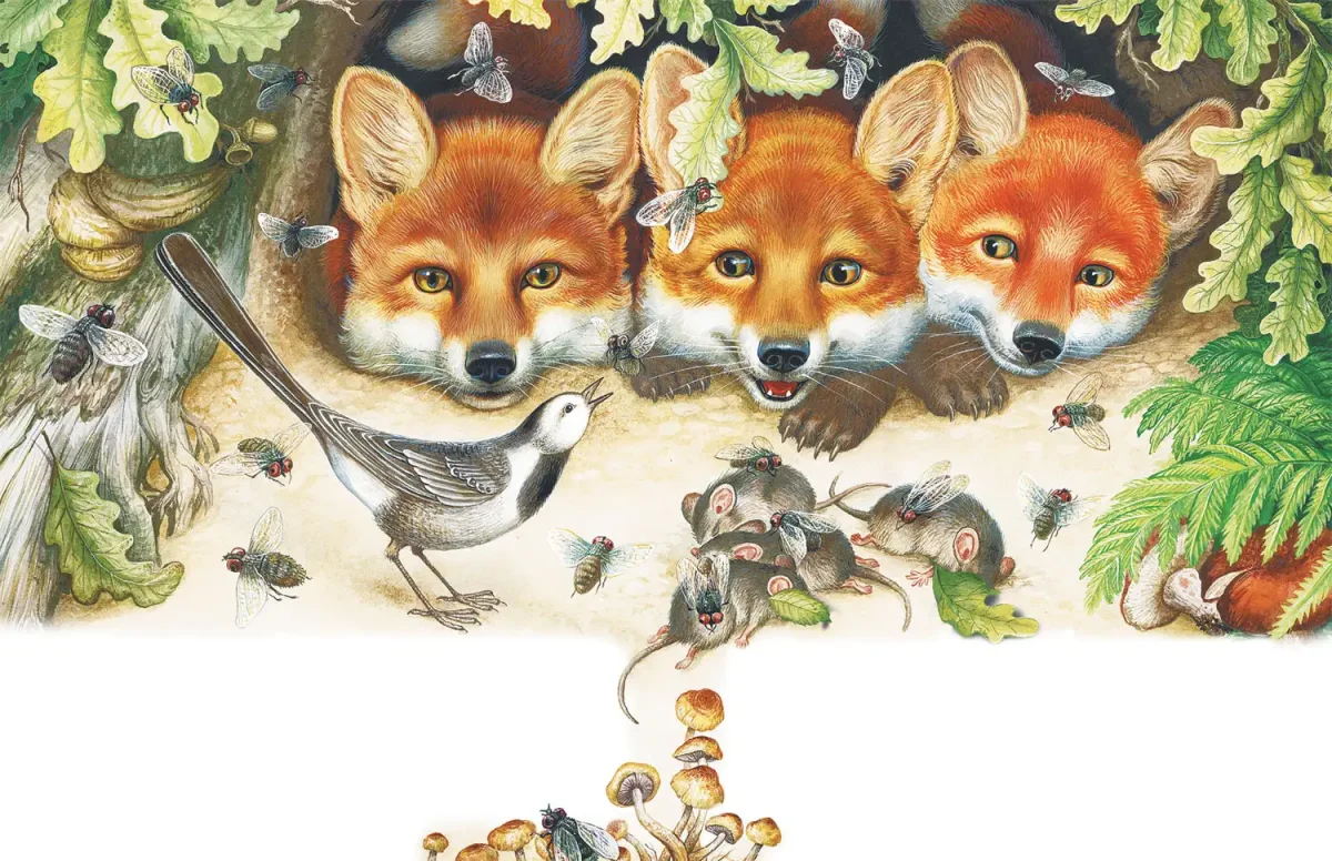 Чарушин лиса с лисятами