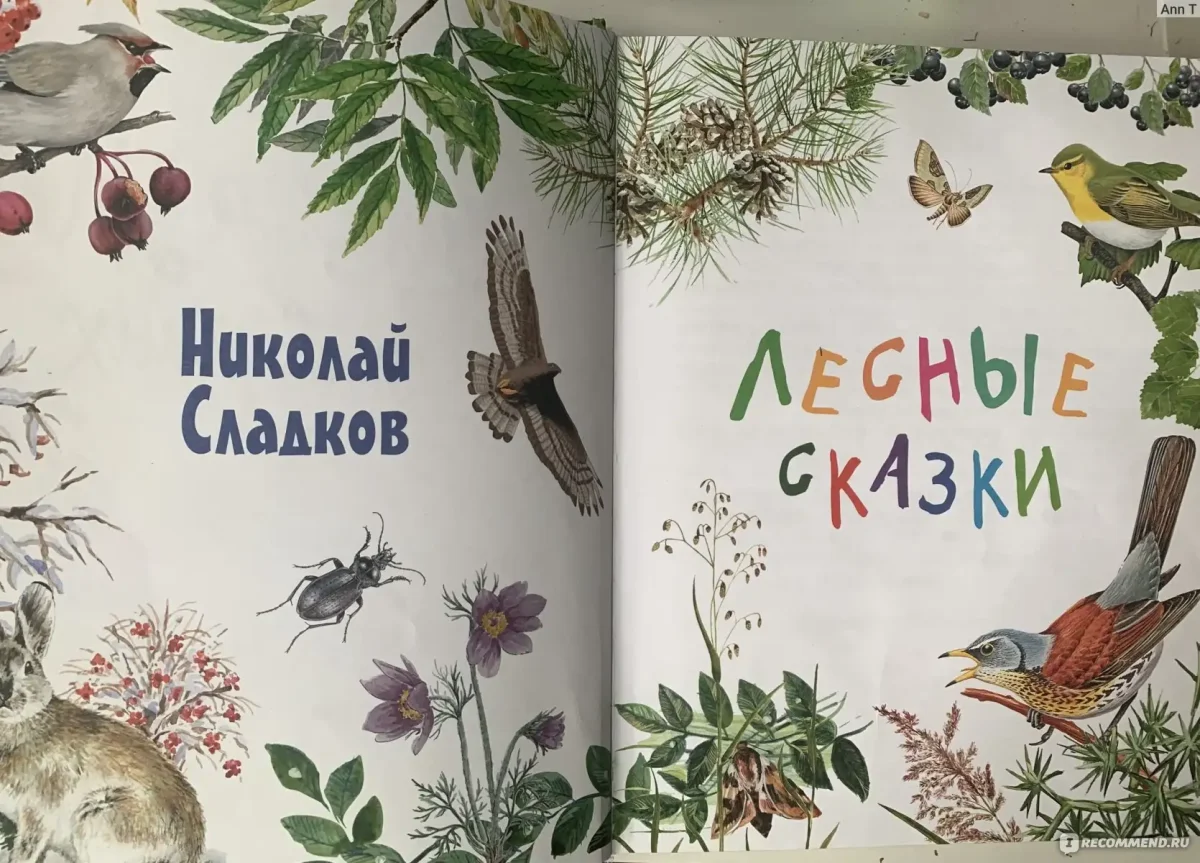 Рассказы и сказки Сахарнов