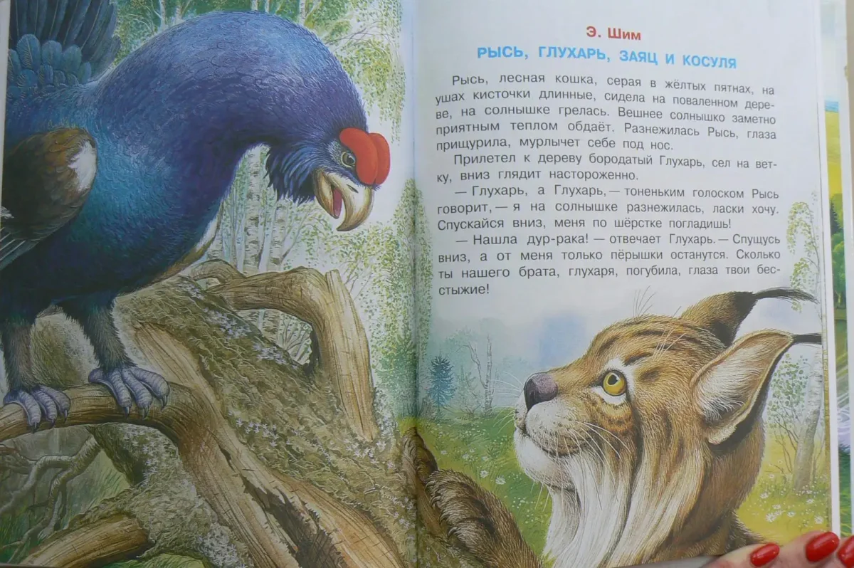 Книга рассказов и сказок о природе