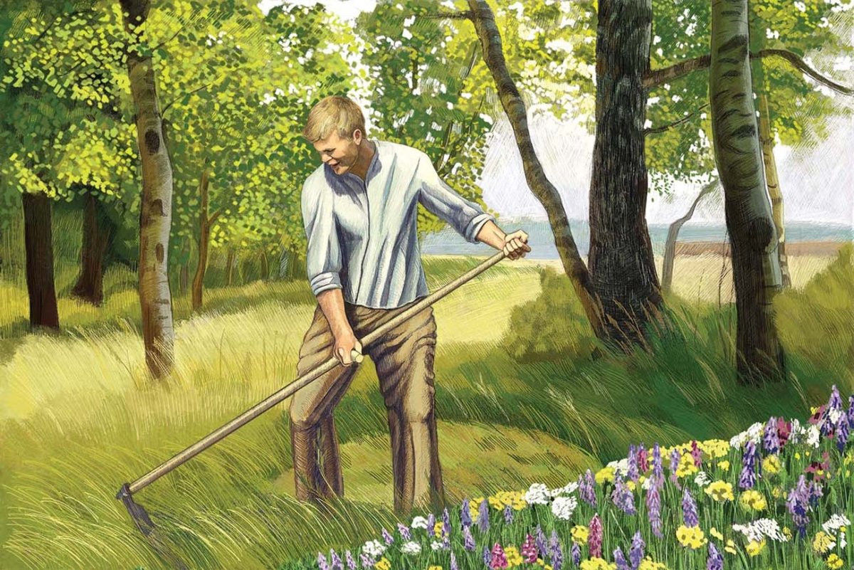 Бунин Косцы иллюстрации