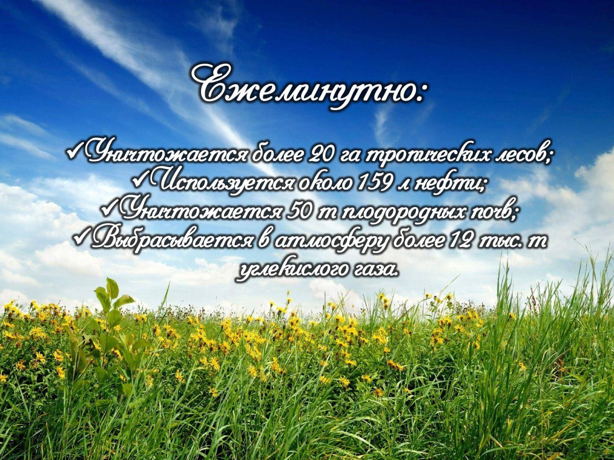 Камиль Писсарро сенокос