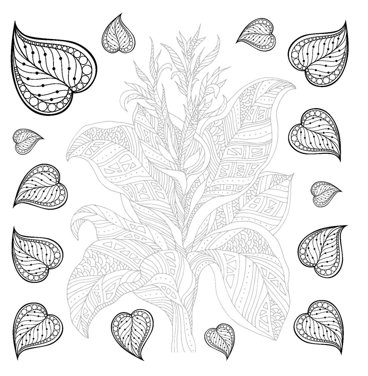 Найди тень для детей черно белые