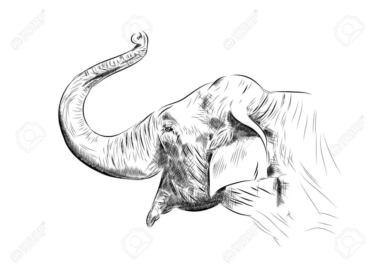 Слоник хоботом вверх тату эскиз