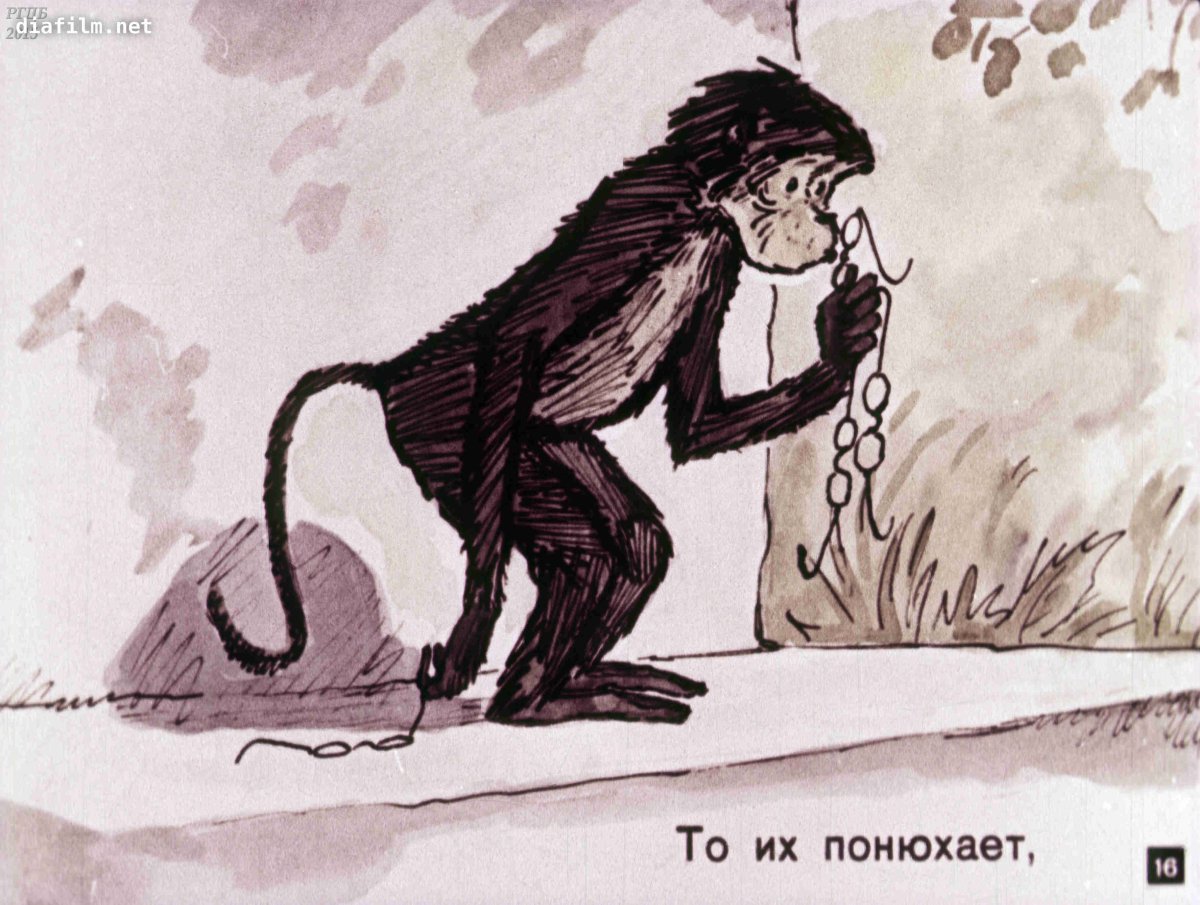 Раскраска обезьяна и очки