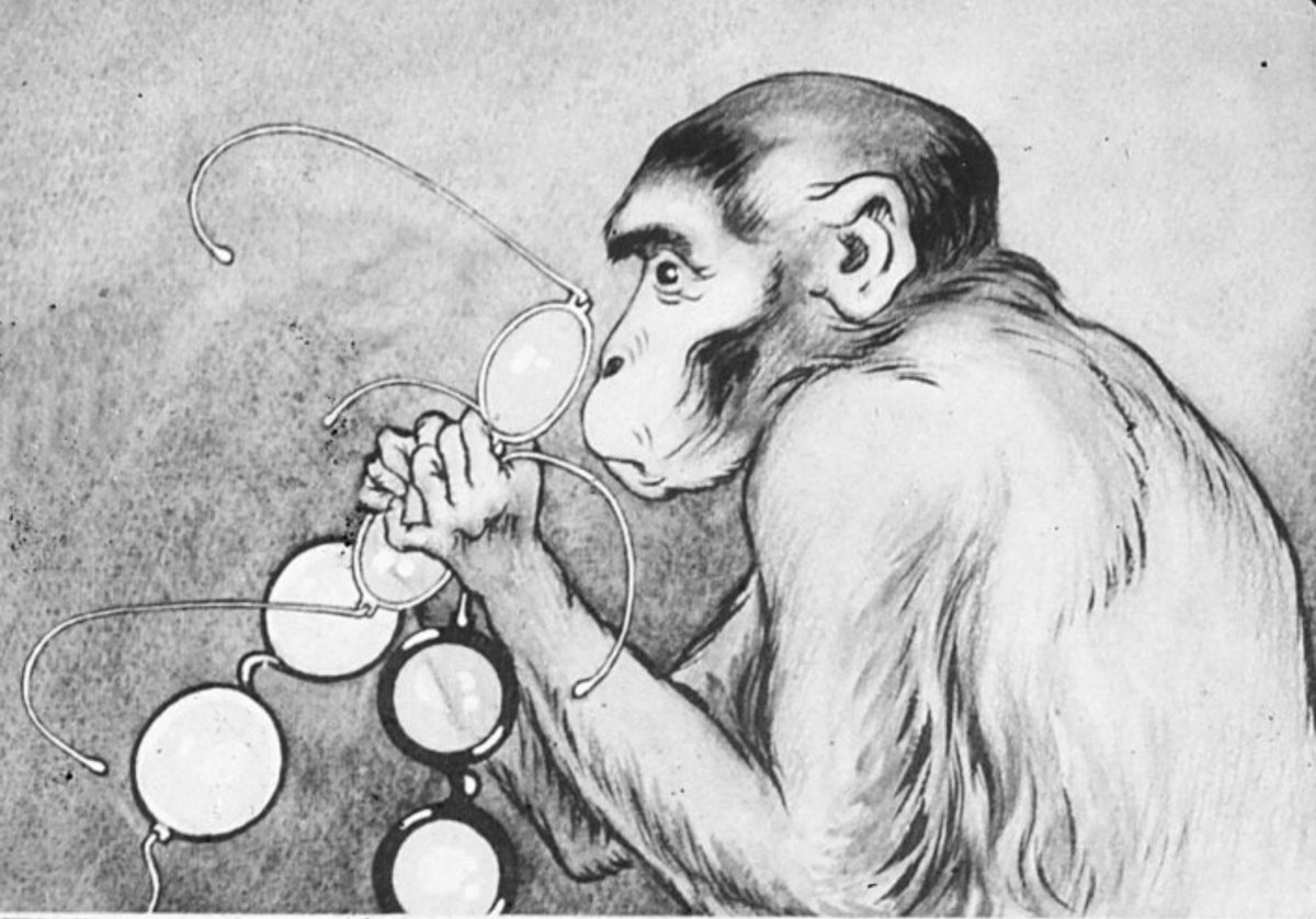 Обезьянка с двумя тарелками