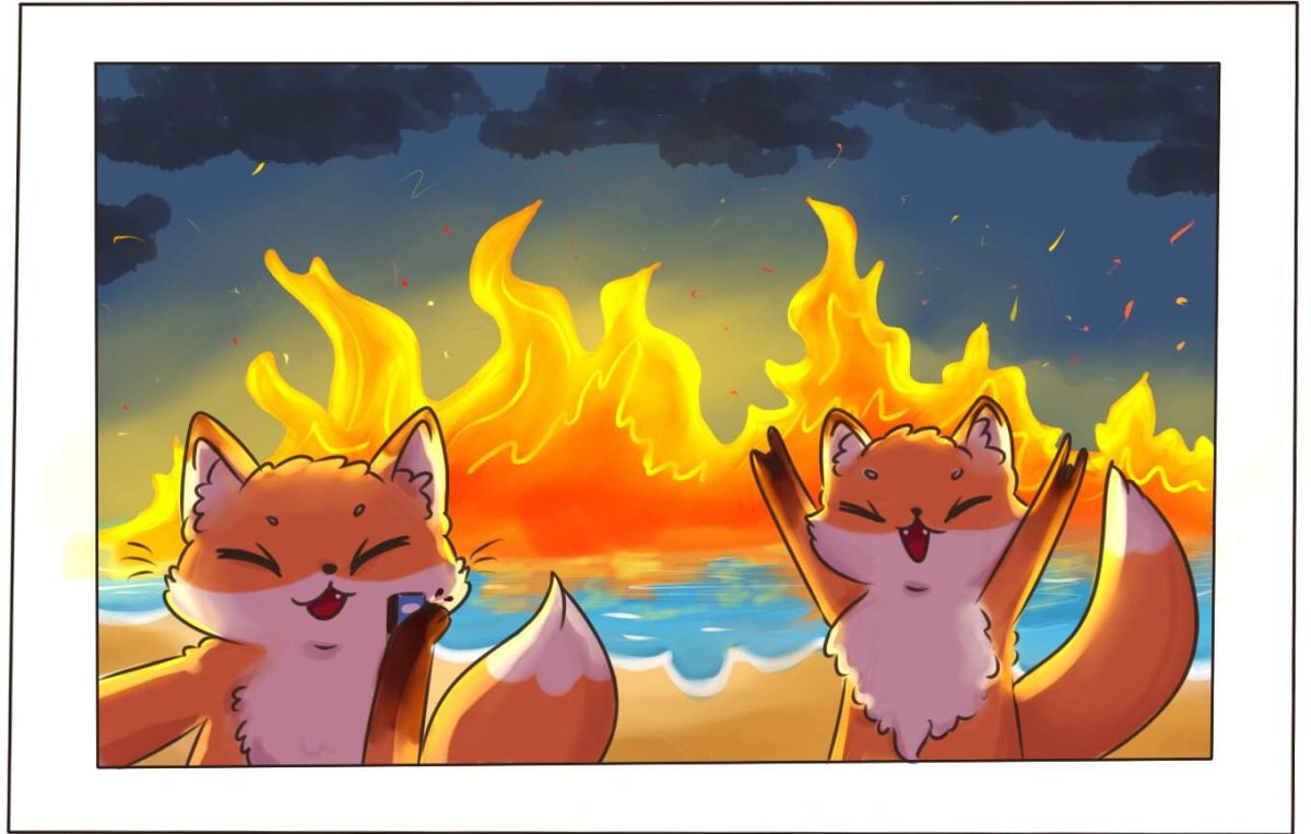 Лисички подожгли море