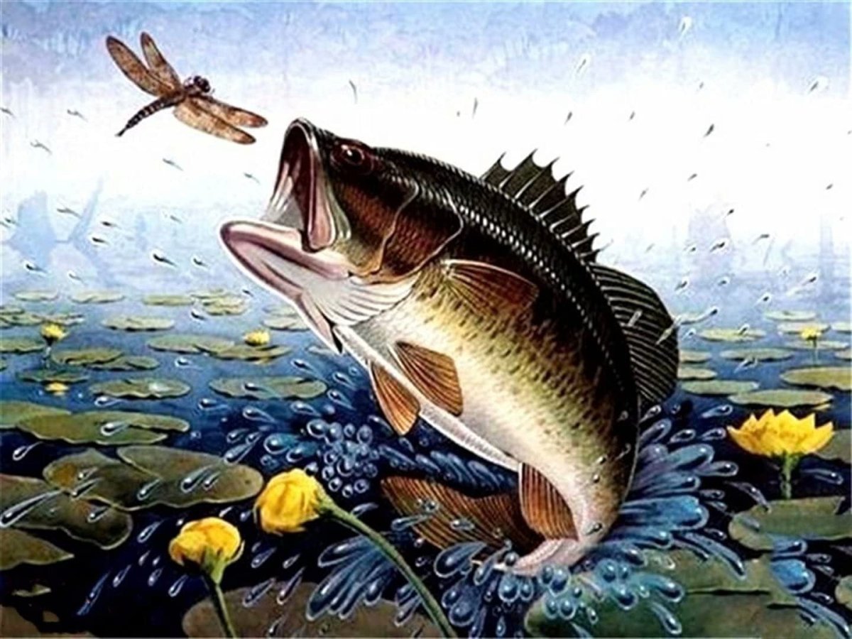 Рыбак иллюстрация