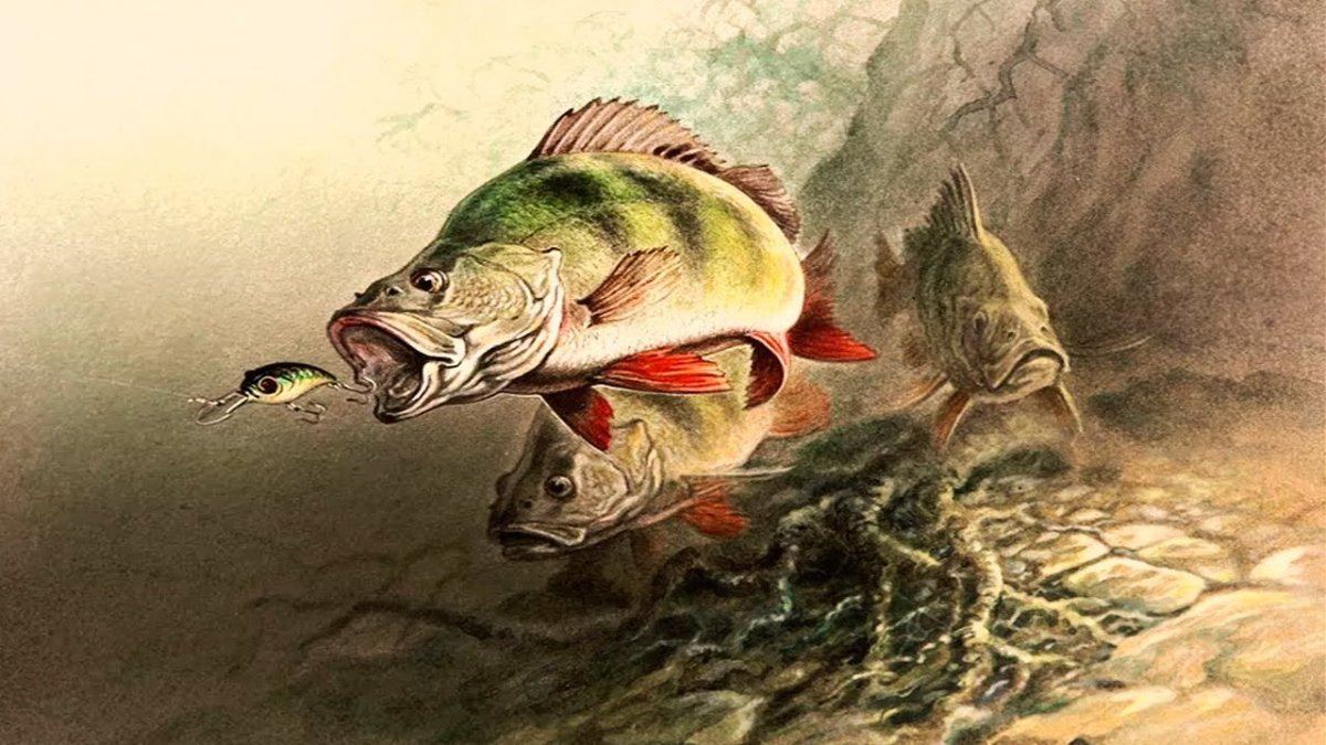 Сказки Салтыкова Щедрина карась идеалист