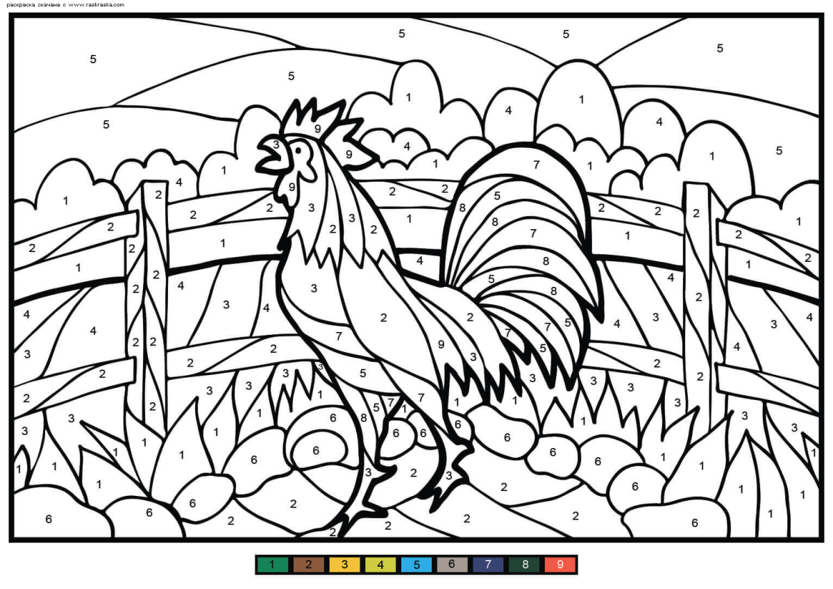 Петух раскраска для детей