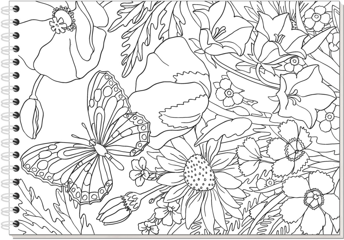 Раскраска луг