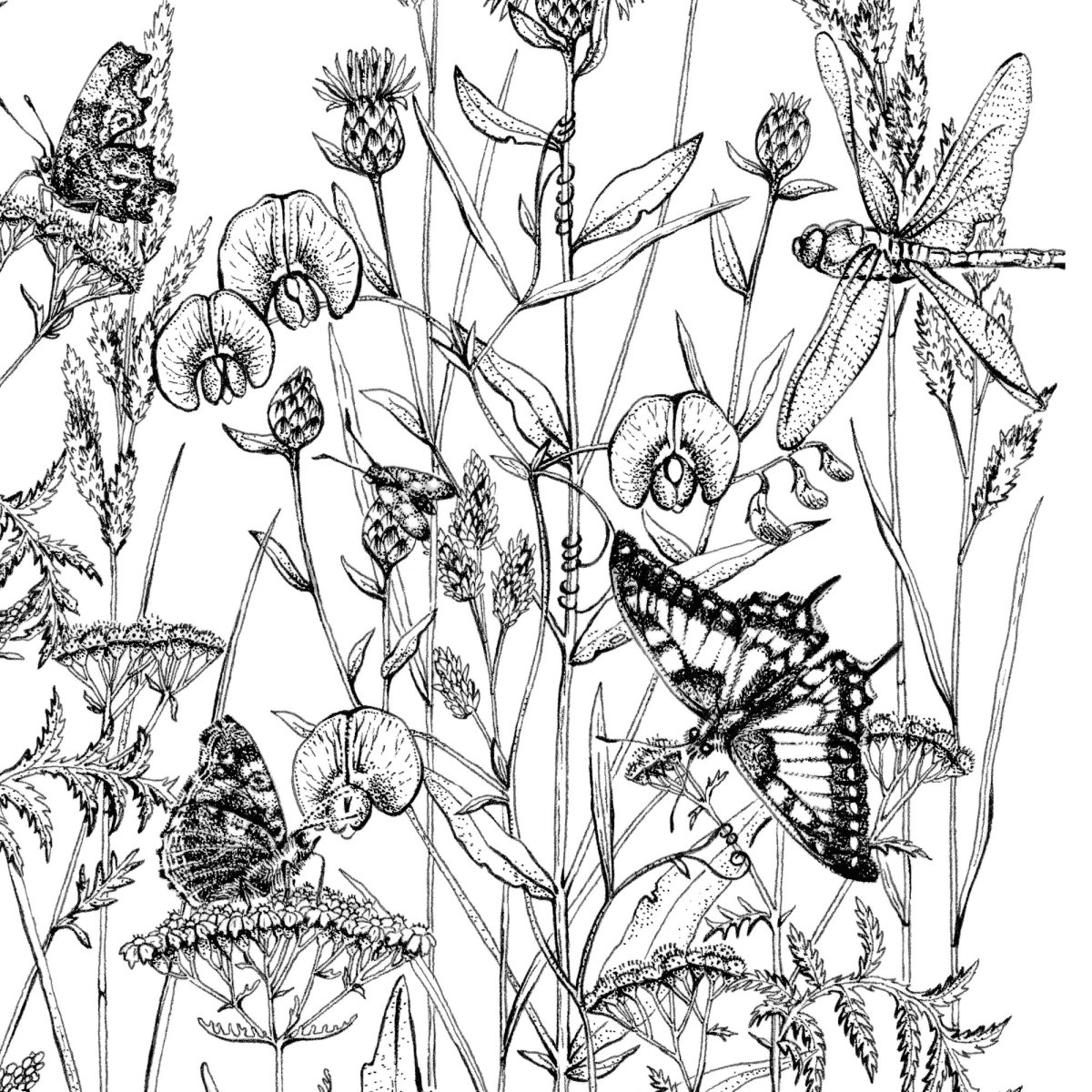 Раскраски в стиле indie Kid бабочки