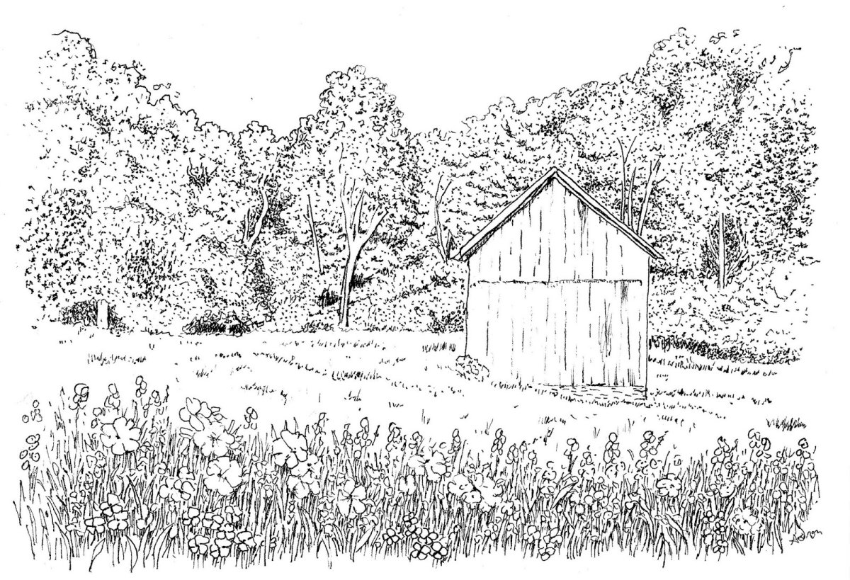 Цветочная Поляна раскраска для детей