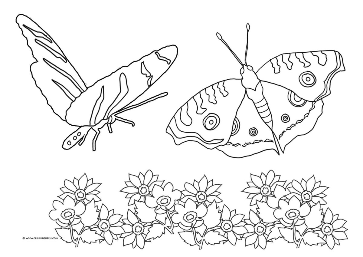 Луг раскраска