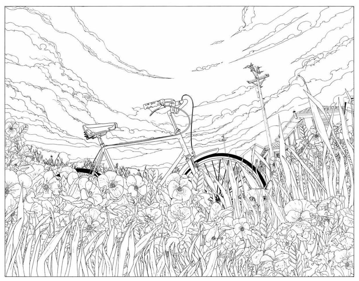 Поле ромашек раскраска