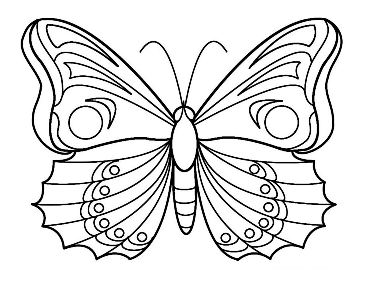 Бабочка лимонница раскраска