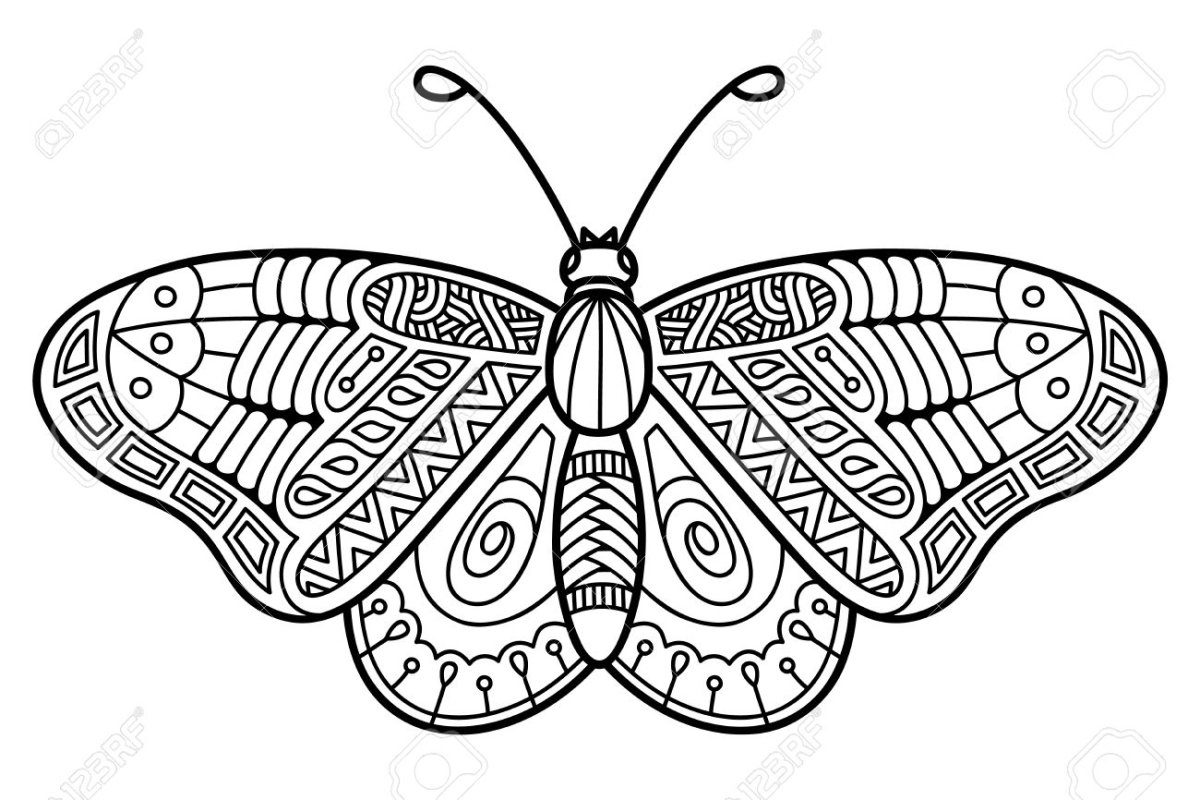 Бабочка Морфо раскраска