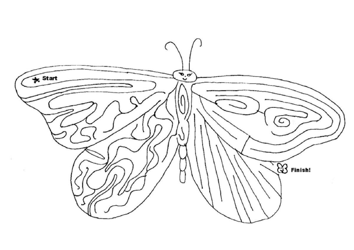 Раскраска бабочки и Стрекозы