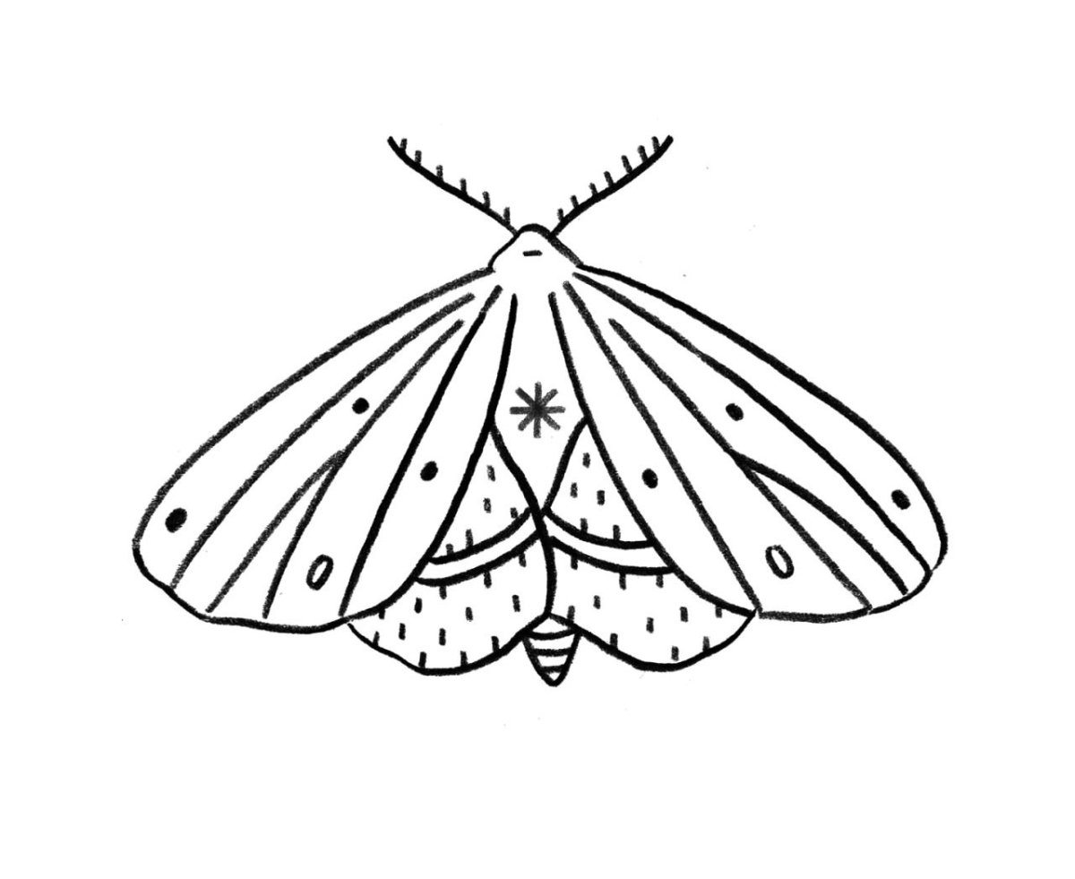 Бабочка лимонница раскраска