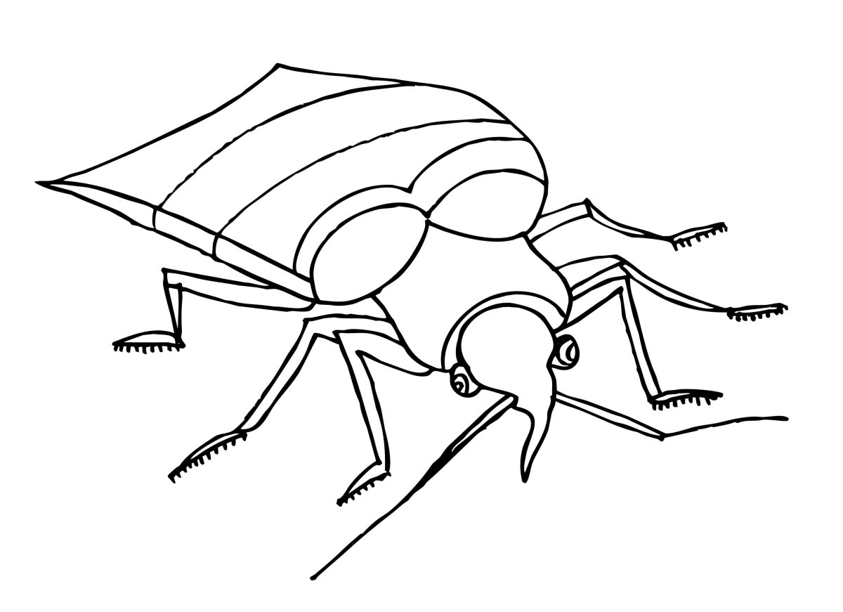 Клоп раскраска для детей