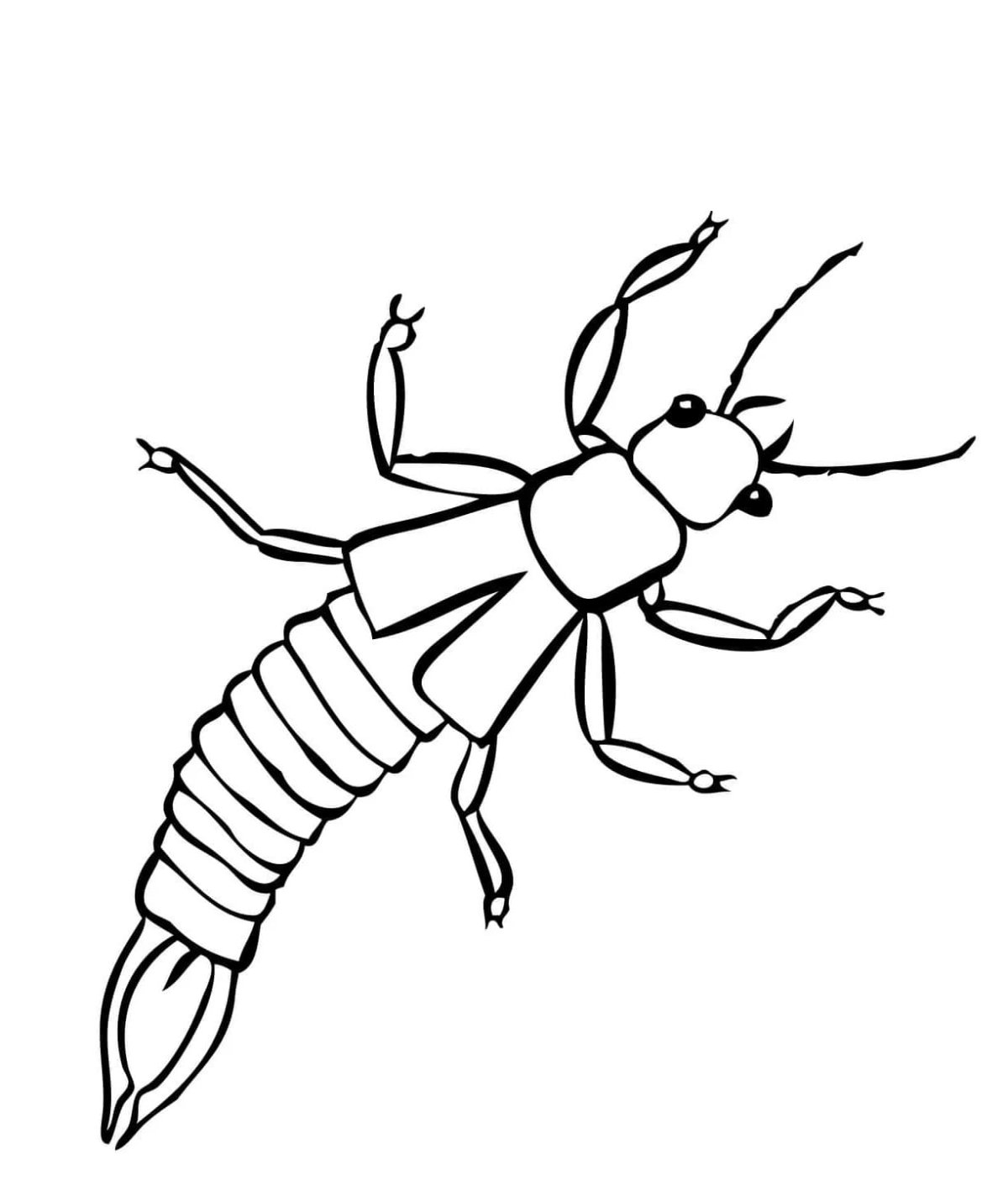 Медведки в мультяшном виде