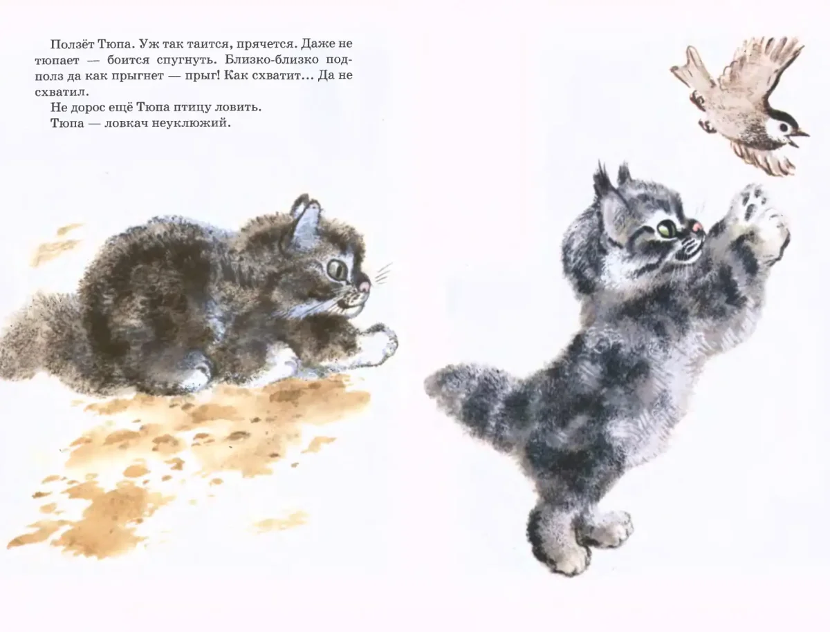 Дмитрий Чарушин художник