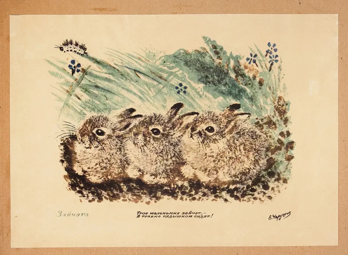 Чарушин е.и. рассказ «про зайчат»