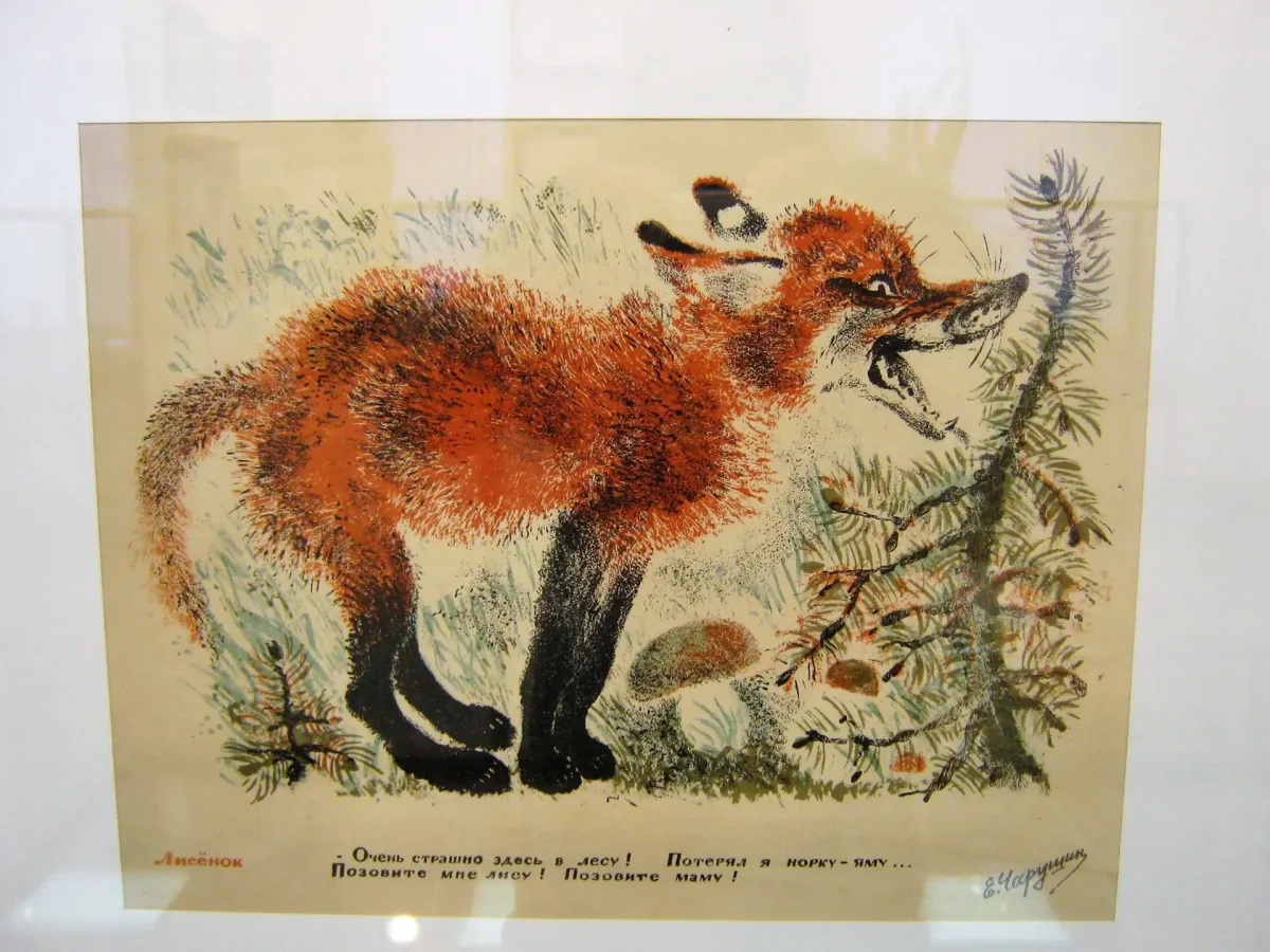 Евгения Ивановича Чарушина иллюстрации книг