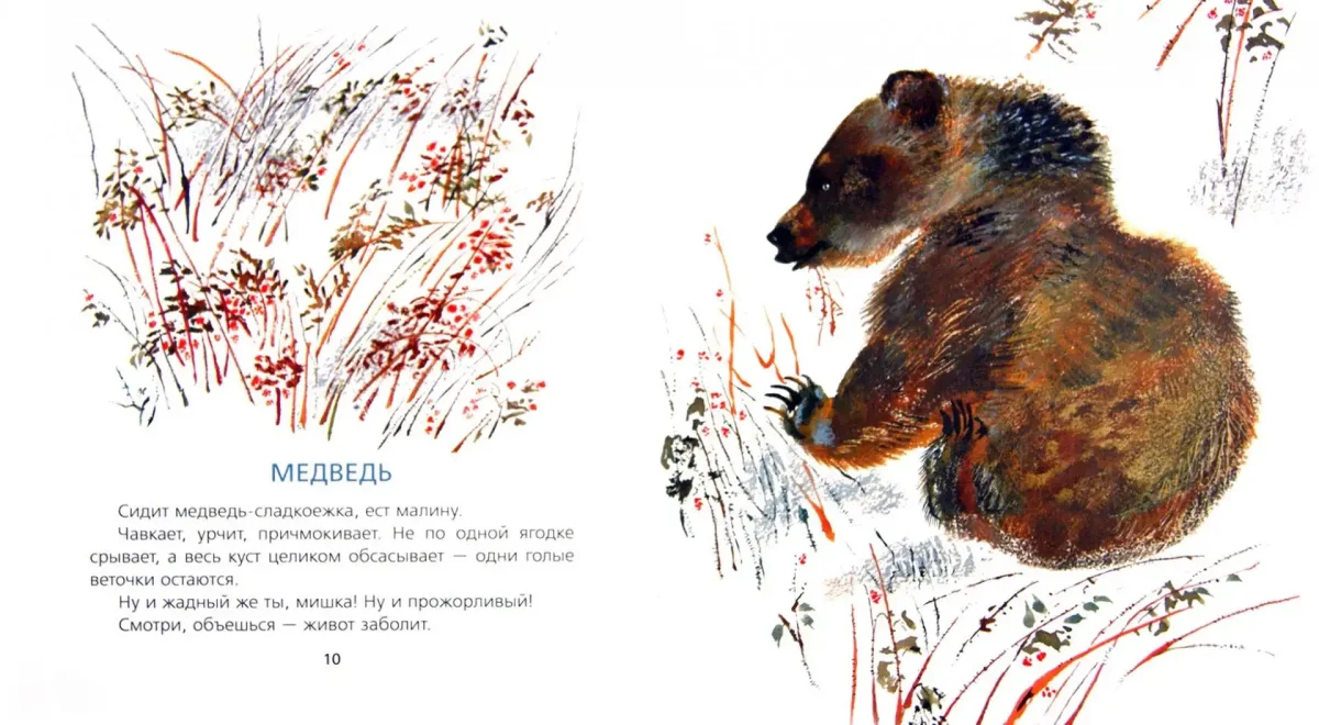 Евгений Чарушин иллюстрации Тюпа