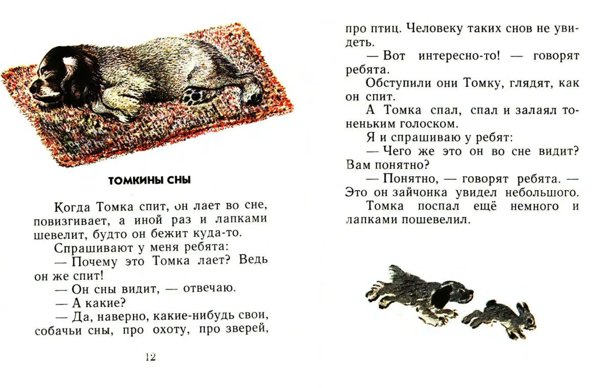 Совята Маршак детки в клетке