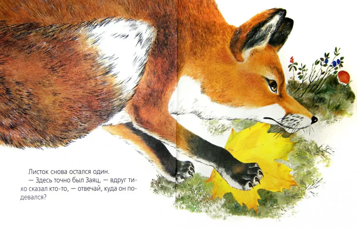 Евгений Чарушин зверята