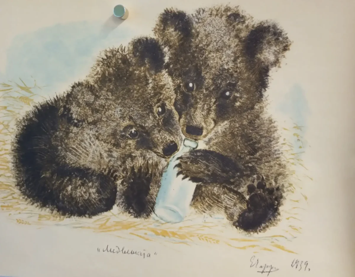 Чарушин Олененок