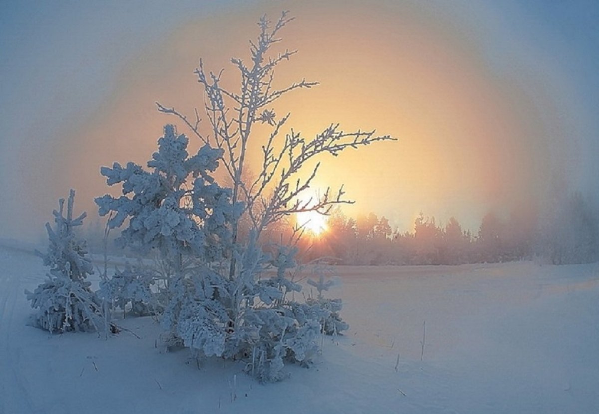 Цыплаков художник картины Мороз