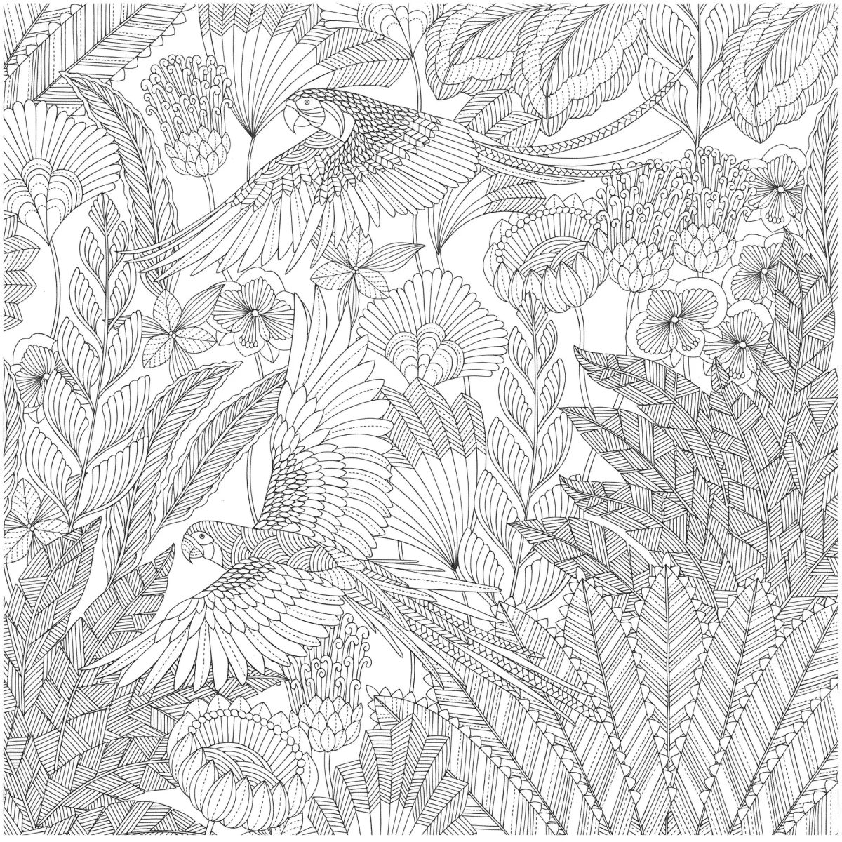 Милли Маротта