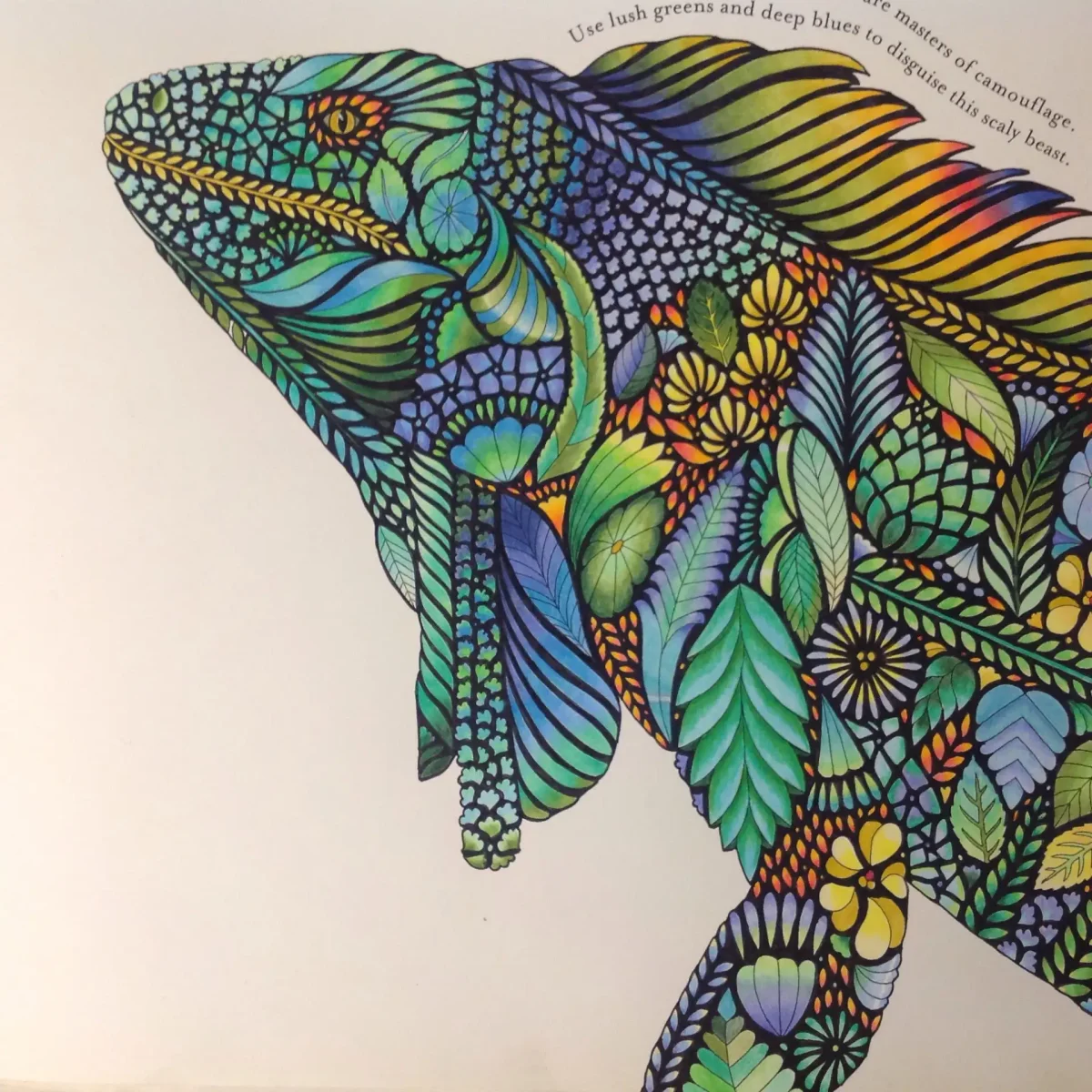 Милли Маротта Сова