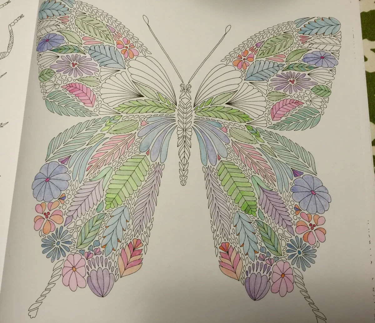 Милли Маротта в царстве животных