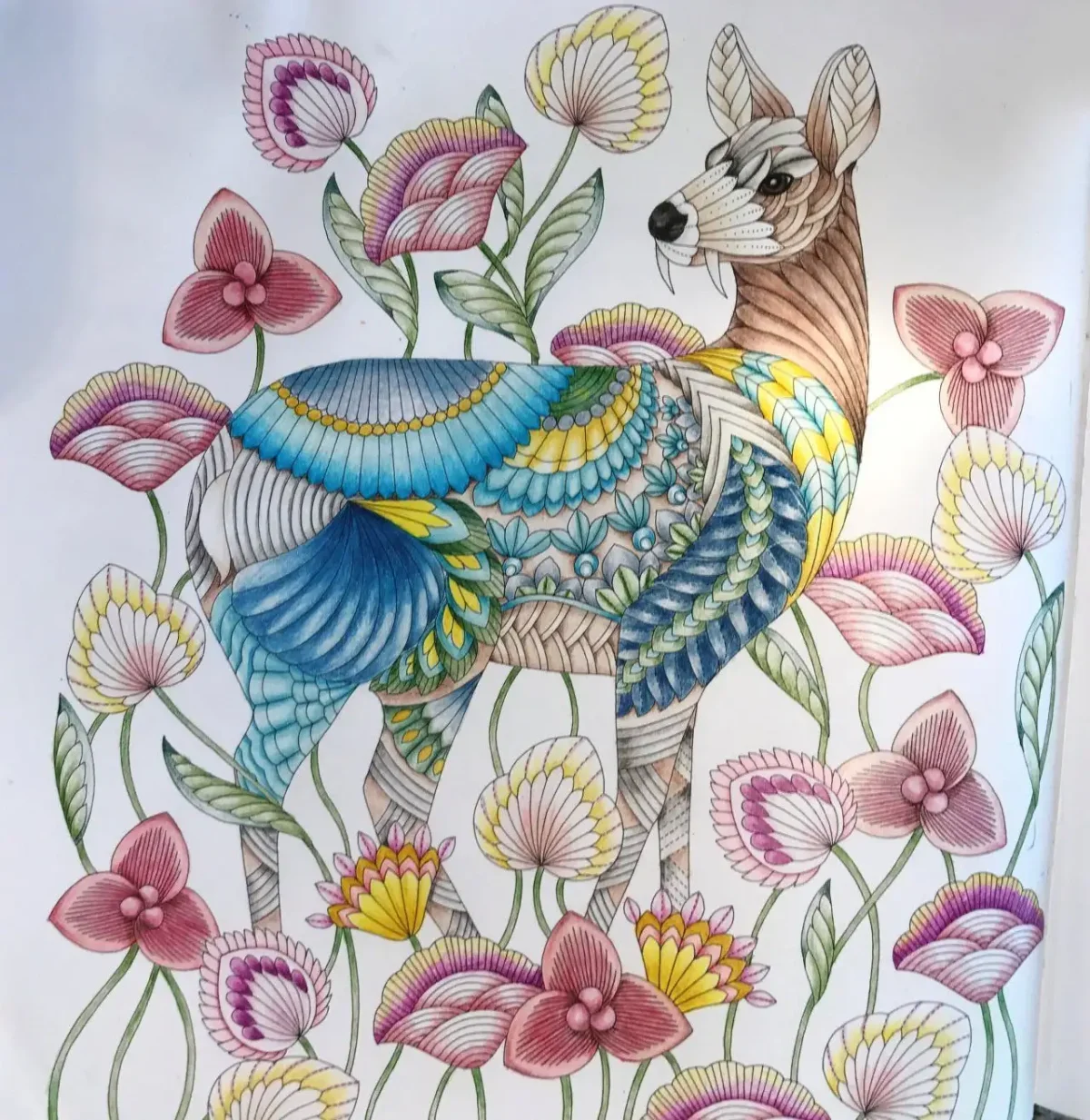 Маротта м. "в стране чудес"